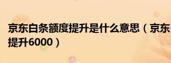 京东白条额度提升是什么意思（京东白条额度提升6000）