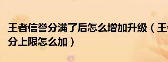 王者信誉分满了后怎么增加升级（王者信誉积分上限怎么加）