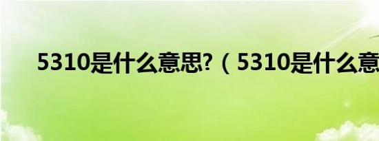 5310是什么意思?（5310是什么意思）