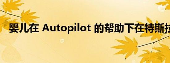 婴儿在 Autopilot 的帮助下在特斯拉出生