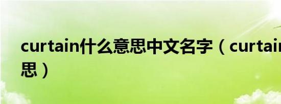 curtain什么意思中文名字（curtain什么意思）