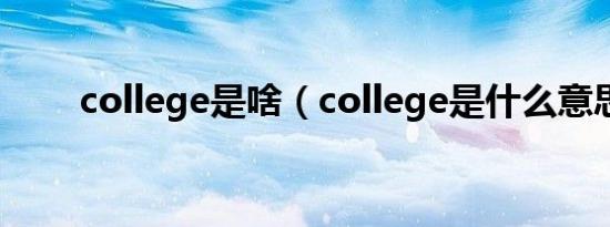 college是啥（college是什么意思）