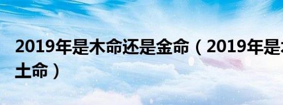 2019年是木命还是金命（2019年是木命还是土命）