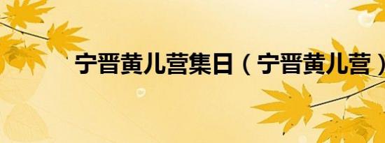 宁晋黄儿营集日（宁晋黄儿营）