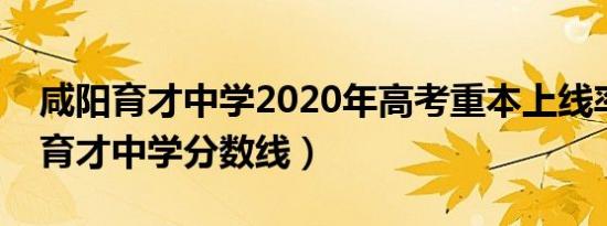 咸阳育才中学2020年高考重本上线率（咸阳育才中学分数线）