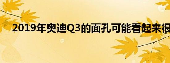 2019年奥迪Q3的面孔可能看起来很熟悉