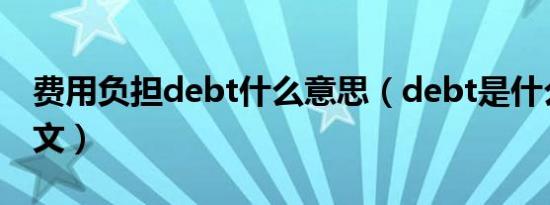 费用负担debt什么意思（debt是什么意思中文）