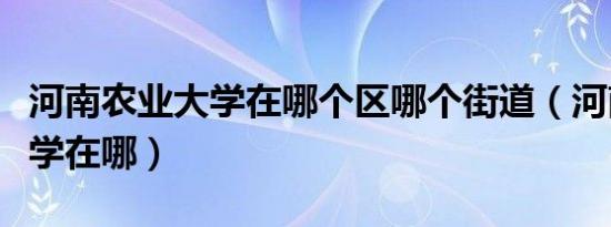 河南农业大学在哪个区哪个街道（河南农业大学在哪）