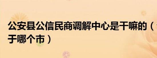 公安县公信民商调解中心是干嘛的（公安县属于哪个市）