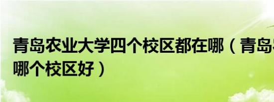 青岛农业大学四个校区都在哪（青岛农业大学哪个校区好）