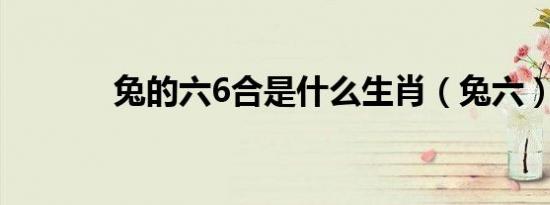 兔的六6合是什么生肖（兔六）