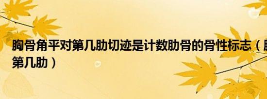 胸骨角平对第几肋切迹是计数肋骨的骨性标志（胸骨角平对第几肋）