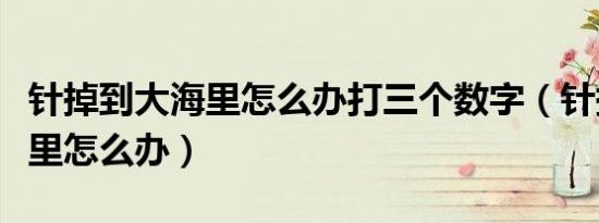 针掉到大海里怎么办打三个数字（针掉到大海里怎么办）