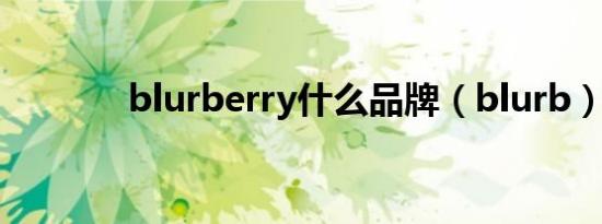 blurberry什么品牌（blurb）