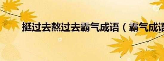 挺过去熬过去霸气成语（霸气成语）