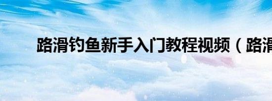 路滑钓鱼新手入门教程视频（路滑）