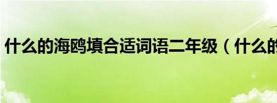 什么的海鸥填合适词语二年级（什么的海鸥）