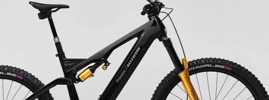 PolestarFlexesAllebikeElizePolestar工程山地自行车在附加网上商店