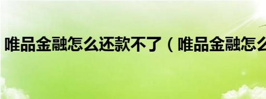 唯品金融怎么还款不了（唯品金融怎么还款）