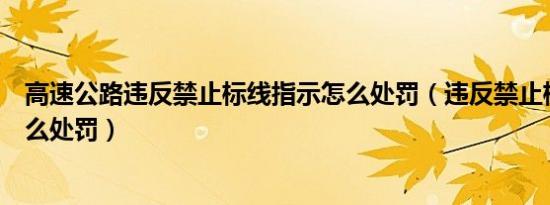 高速公路违反禁止标线指示怎么处罚（违反禁止标线指示怎么处罚）