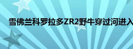 雪佛兰科罗拉多ZR2野牛穿过河进入树林