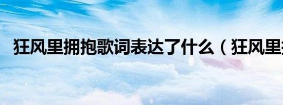 狂风里拥抱歌词表达了什么（狂风里拥抱）