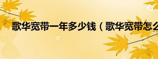 歌华宽带一年多少钱（歌华宽带怎么样）