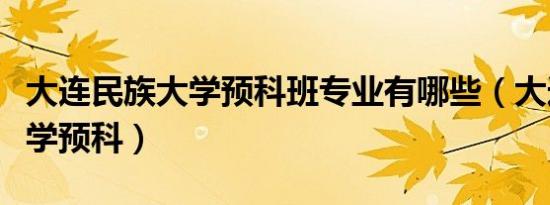 大连民族大学预科班专业有哪些（大连民族大学预科）