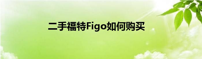 二手福特Figo如何购买(图1)