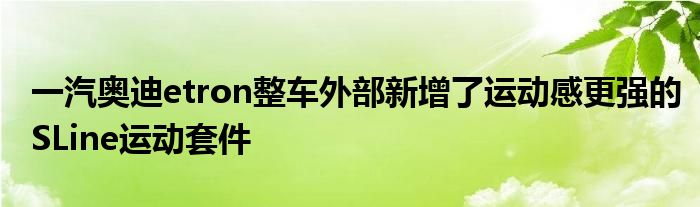 一汽奥迪etron整车外部新增了运动感更强的SLine运动套件(图1)