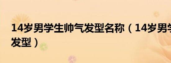 14岁男学生帅气发型名称（14岁男学生帅气发型）