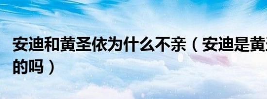 安迪和黄圣依为什么不亲（安迪是黄圣依亲生的吗）