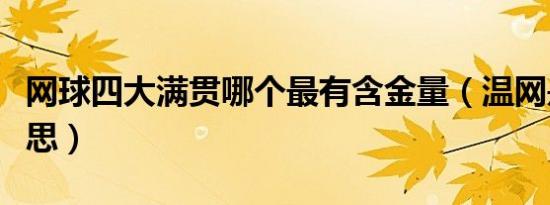 网球四大满贯哪个最有含金量（温网是什么意思）