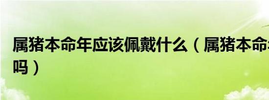 属猪本命年应该佩戴什么（属猪本命年能结婚吗）