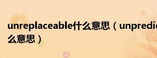 unreplaceable什么意思（unpredictable什么意思）