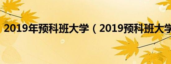 2019年预科班大学（2019预科班大学名单）