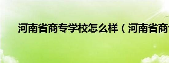 河南省商专学校怎么样（河南省商专）