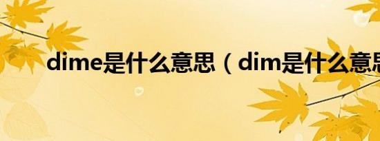 dime是什么意思（dim是什么意思）