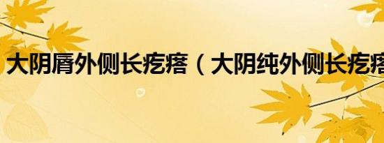 大阴脣外侧长疙瘩（大阴纯外侧长疙瘩图片）