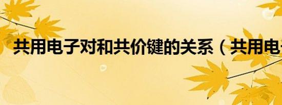 共用电子对和共价键的关系（共用电子对）