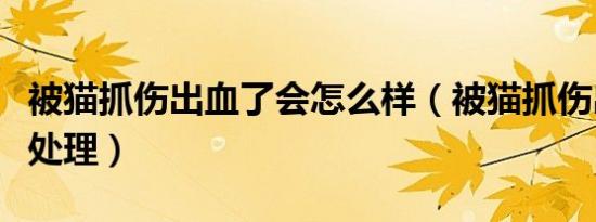 被猫抓伤出血了会怎么样（被猫抓伤出血怎么处理）