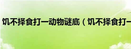 饥不择食打一动物谜底（饥不择食打一动物）