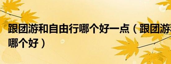 跟团游和自由行哪个好一点（跟团游和自由行哪个好）