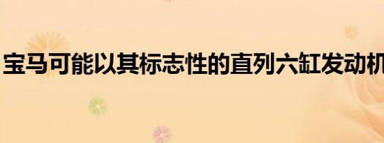 宝马可能以其标志性的直列六缸发动机而闻名