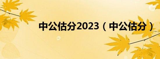 中公估分2023（中公估分）