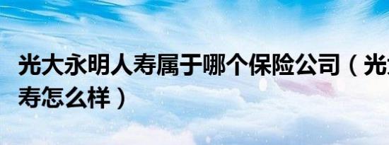 光大永明人寿属于哪个保险公司（光大永明人寿怎么样）