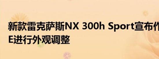 新款雷克萨斯NX 300h Sport宣布作为NX SE进行外观调整