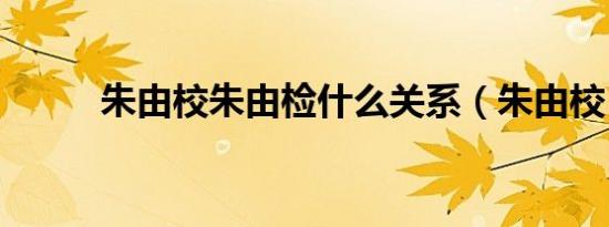 朱由校朱由检什么关系（朱由校）