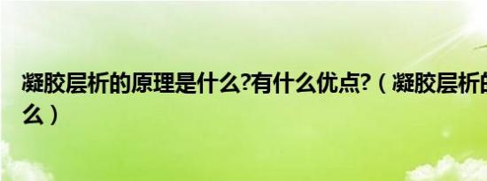 凝胶层析的原理是什么?有什么优点?（凝胶层析的原理是什么）