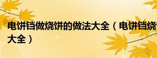 电饼铛做烧饼的做法大全（电饼铛烧饼的做法大全）